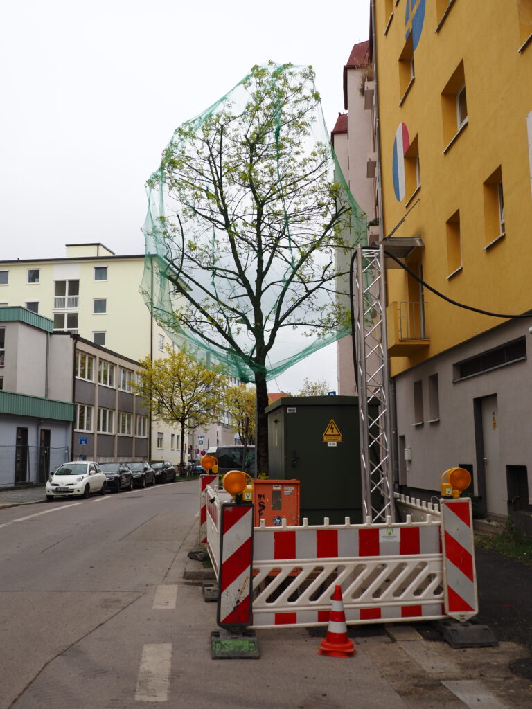 Umweltbaubegleitung